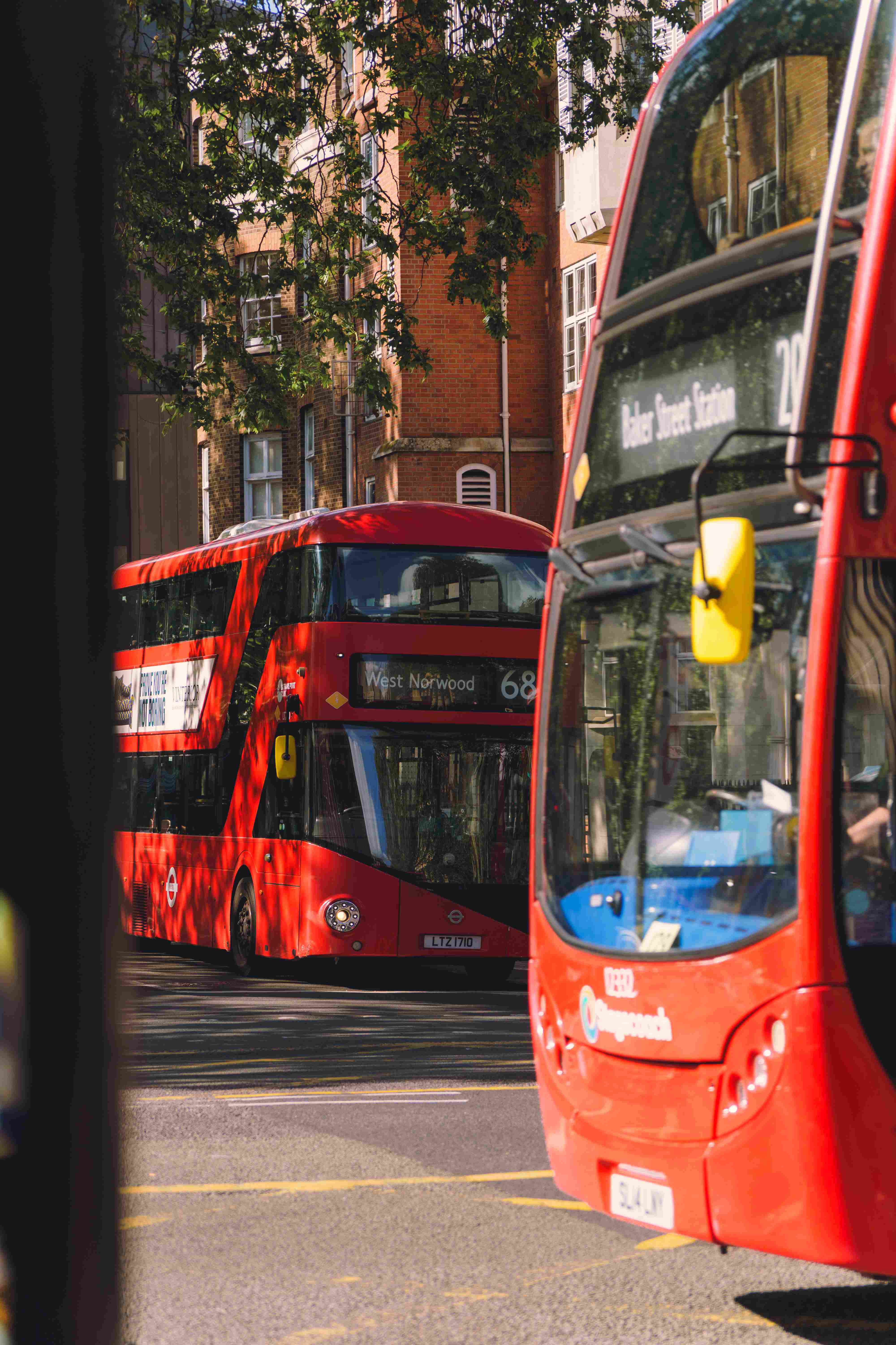 Two Red Buses